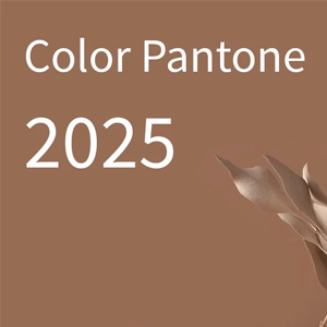 INICIO pantone1