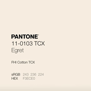 INICIO pantone2