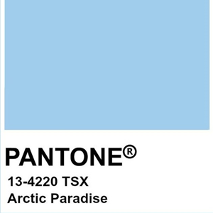 INICIO pantone5